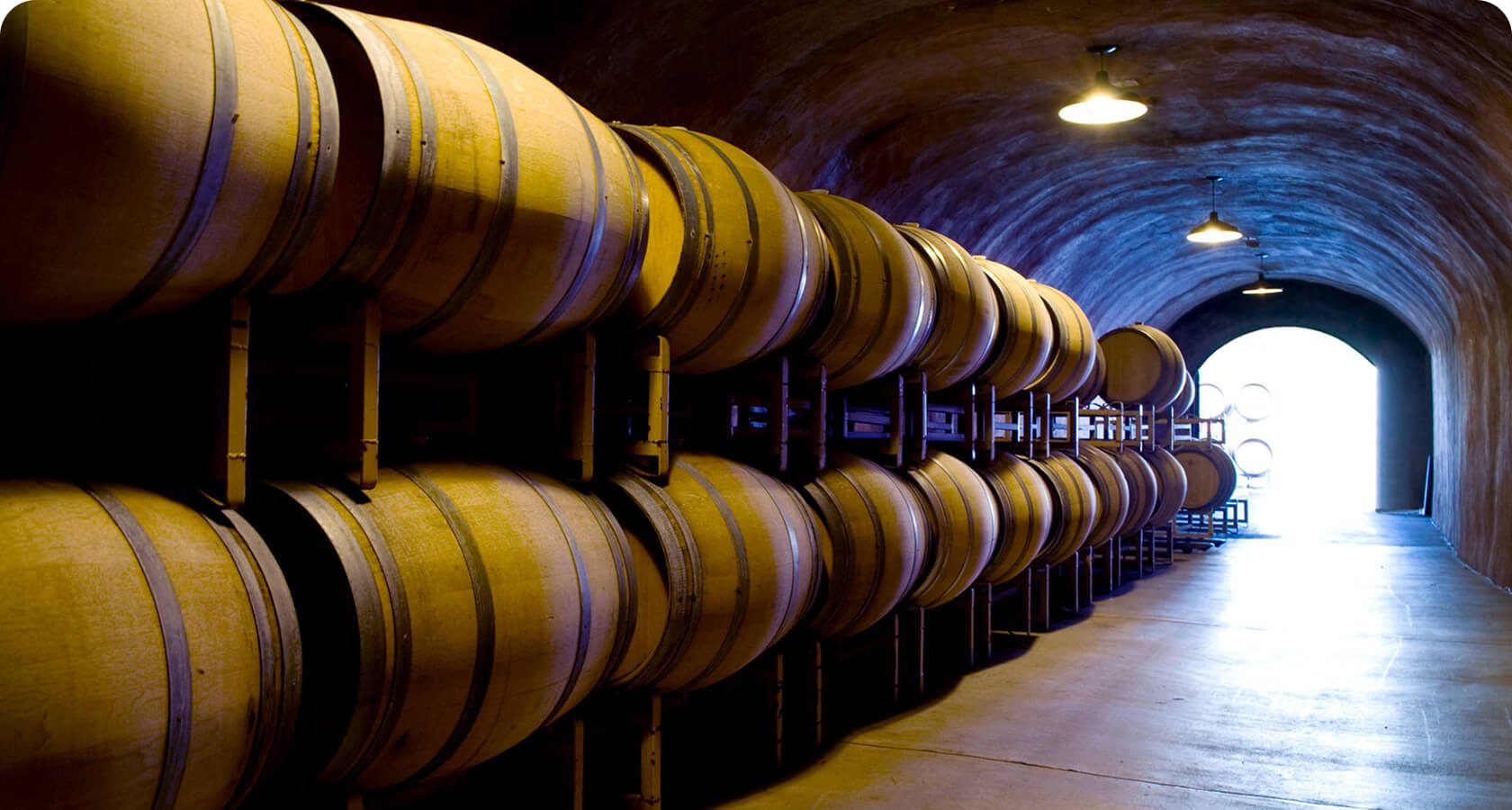 Rows of wine barrels in storage cave