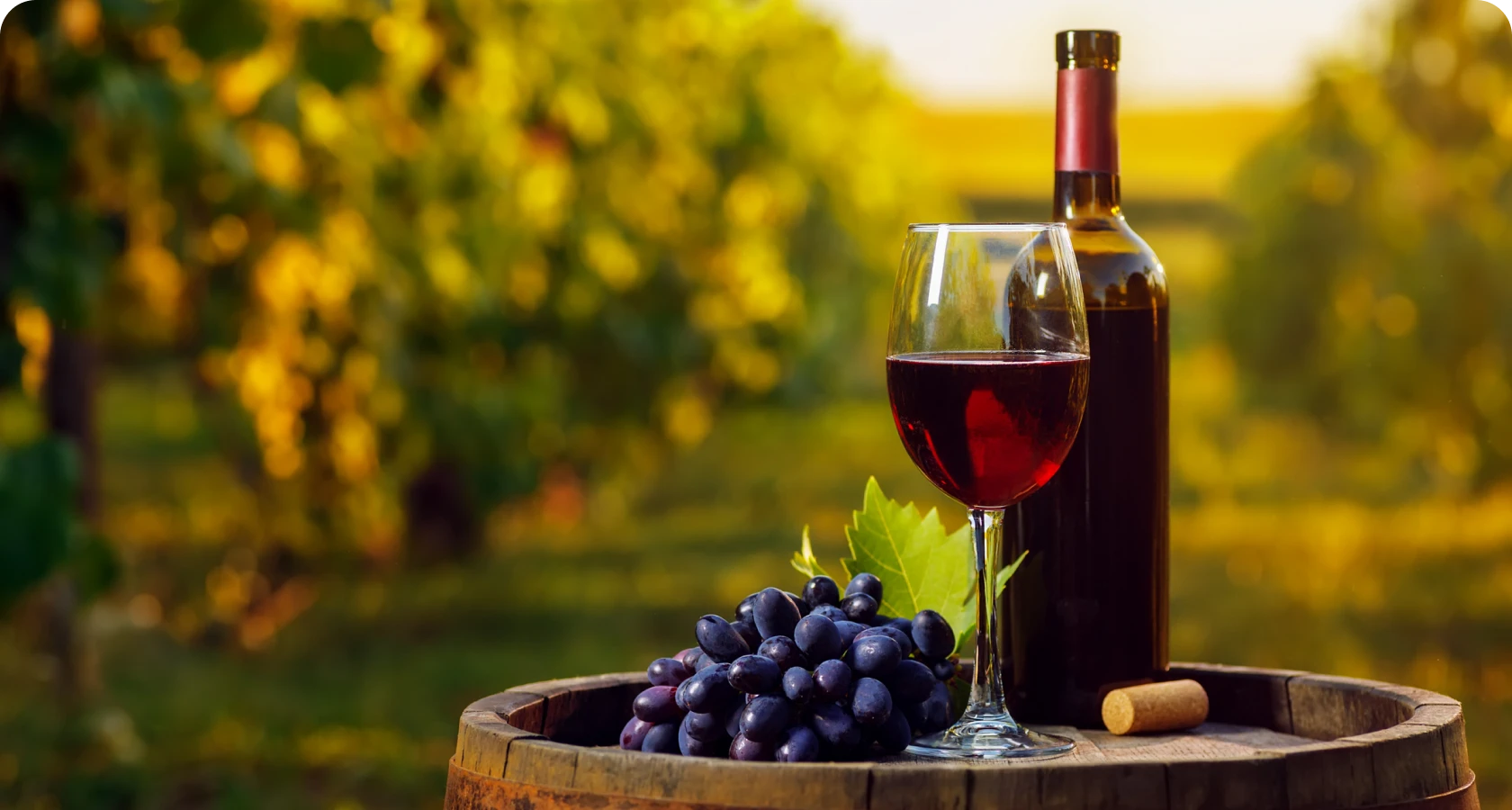Red wine with grapes in vineyard